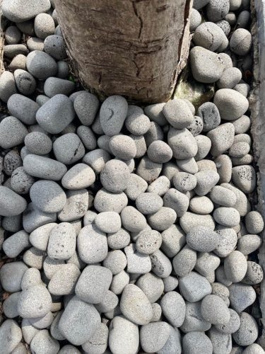 hsn-pebble-etna-lava-tumbled-landscape-exterior-tree