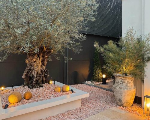 hsn-pebble-rose-quartz-olive-tree-evening-lighting