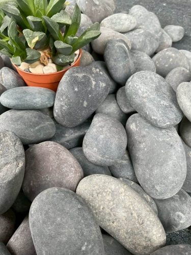 hsn-pebble-wash-black-decoration-plant