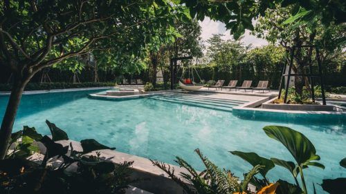 hsn-tribeca-limestone-sanded-swimming-pool-installed-pool-steps-garden